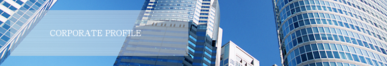 MPS ASIA Co., Ltd.